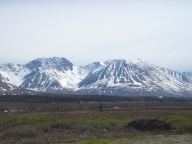 Denali Park Alaska